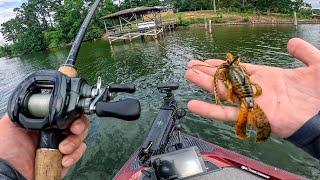 JIGS ALL DAY Leads to Getting PAID || Lake Norman Tournament Fishing (pt1) @hpsfishing