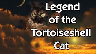 Legend of the Tortoiseshell Cat