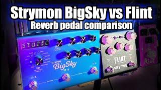 Strymon BigSky vs Flint Comparison. Which is the Ultimate Reverb Pedal?