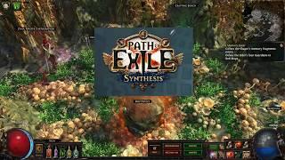 Path of Exile - The Infinite DPS Build