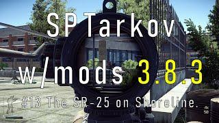 SPTarkov 3.8.3 with mods #13 - Shoreline - The SR-25 on Shoreline.