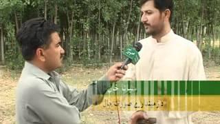 Charsadda Shabqadar Dalazak kali  || Hajizai Picnic Spot || Khyber News || Ahmad Ali Khan|| Jibran