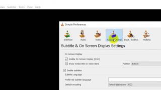How To Change Subtitle Font Size In VLC