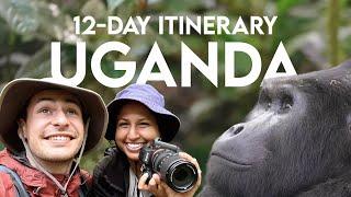 12-Day Itinerary: Uganda Safari (Plan Your Trip↓)