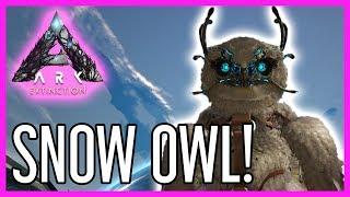 Snow Owl Guide for ARK: Extinction