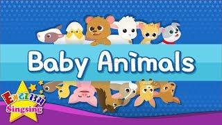 Kids vocabulary - Baby Animals - Learn English for kids - English educational video