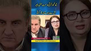 Shah Mehmood Qureshi and Musarrat Jamshed Cheema were arrested again