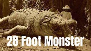 Largest Crocodile Killed (Krys “The Savannah King”)