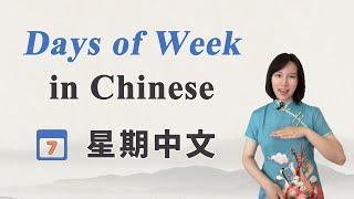 Days of the Week in Chinese 丨Beginner Chinese
