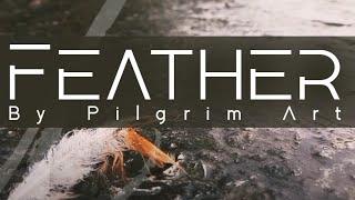  Piano music " Feather " by Pilgrim Art 