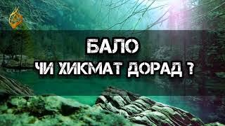 Бало ё мусибат чи хикмат дорад ? { шайх Абу Сухайб }