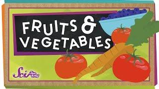 What's the Difference Between Fruits and Vegetables?