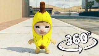 Banana Cat But It's 360 degree video | Happy Happy cat