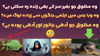 Amazing Urdu facts | #Factomania TV# | Urdu Facts | Dilchasp Maloomat