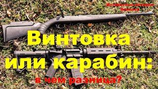 Винтовка или карабин: в чем разница?