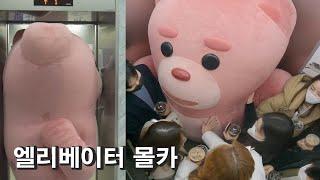 [SUB](몰카) 엘ㅂㅔㅇㅔㅅㅓ몰카하다 인원초과 됐다?… 롯데홈쇼핑 편