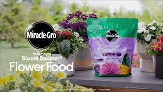 How To Use Miracle-Gro® Water Soluble Bloom Booster® Flower Food