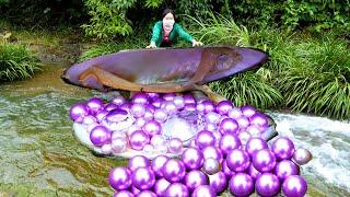 When I pried open the giant clam, countless purple pearls flowed out, it was incredibly beautiful