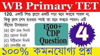 Primary tet exam preparation| primary teacher exam preparation|| cdp practice set |cdp class