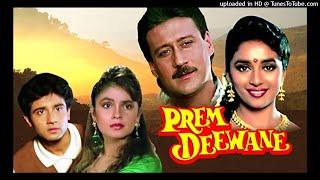 Pi Pi Piya Ji Ji Jiya# Udit Narayan -Alka Yagnik#Film - Prem Deewane