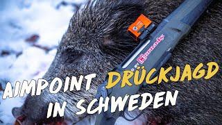 Drückjagd  in Schweden