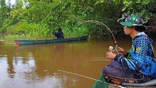 Best fishing videos!! Mancing udang galah di perdalaman hutan kalimantan