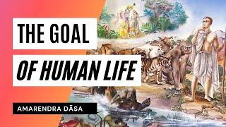 The Goal of Human Life | Amarendra Dasa
