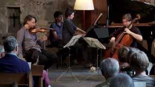 Debussy Piano trio - Rowland, Cohen, Kudritskaya, live at Stiftfestival '12