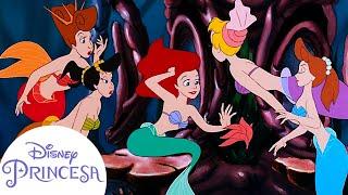 Conoce a las hermanas de Ariel, #LaSirenita | Disney Princesa