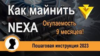 Как начать майнить Nexa. Окупаемость 9 месяцев.