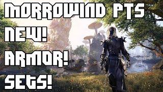 Morrowind First Look  - Battleground Armor Sets! (PTS)