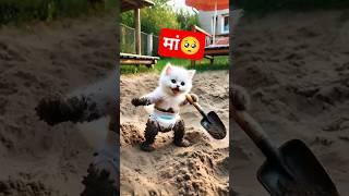 Cat Kitten Fight Zombies #Catsoftiktok #CatLovers #cat #cute #FunnyCats #catcartoon