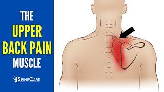 The Upper Back Pain Muscle (How to Release It for INSTANT RELIEF)
