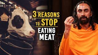 Bhagavad Gita 3 Reasons to Stop Eating Meat - Scientifically Proven
