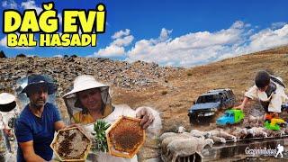 WE HARVESTED HONEY WITH THE BALCI TONTUL FAMILY AT 2500 ALTITUDE