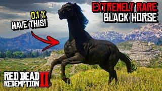 How To Get Legendary 100% BLACK Horse Locations (Extremely Rare) - RDR 2