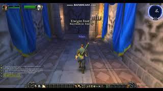 leveling  untuk pemula WOW tbc classic