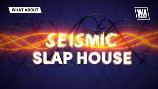 Alok / Dynoro Style Serum Presets, Drums & Bass Loops | Seismic Slap House