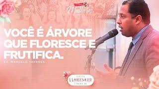 Você é arvore que floresce e frutifica | Ev. Marcelo Tavares - 9º Encontro de Mulheres