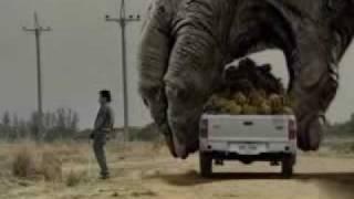 Two Giant Gorilla plays the car