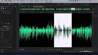 New Audio Editing & Insert Options for Adobe Audition 2021