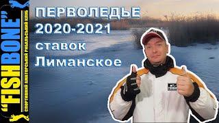 Зимняя рыбалка, перволедье 2020-21, ставок Лиманское. + Подводная видео удочка в работе.