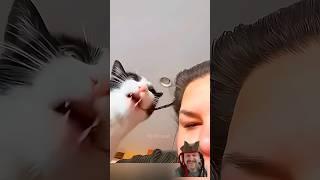 CAT attack #funny #satisfying