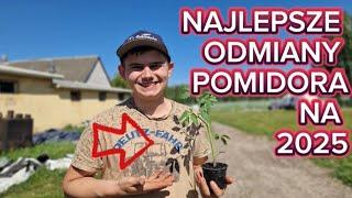 Najlepsze pomidory na 2025 – gwarancja obfitych plonów!  @TuneloveLOVE