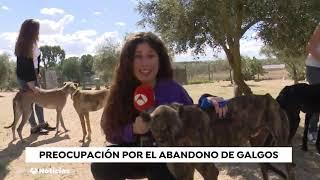 Fundación Animal Rescue en las Noticias de Antena 3