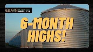 Corn Rallies to 6-Month Highs