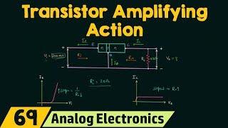 Transistor Amplifying Action