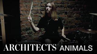 Architects - Animals (drum cover by Alisa Kharlamova)