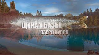 Русская Рыбалка 4 ► Russian Fishing 4 ► Озеро Куори - Щука у Базы!