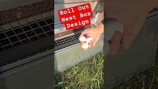 The Eggs Stay CLEAN with the Roll Out Nest Box Design #backyardchickens #chickencoops #bestnestbox